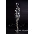 human body torso model on sale